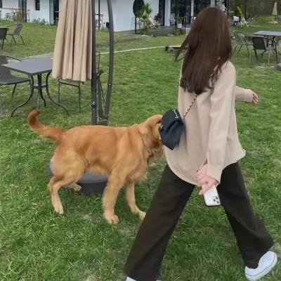 嗨放派·生存对战季