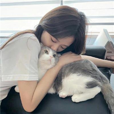 谎言的真相